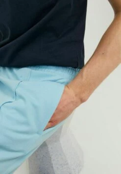 Jack & Jones Shorts - Sky Blue -Jack & Jones Verkoopwinkel 0c5c680adcd1494ca4cec1a058aceba2
