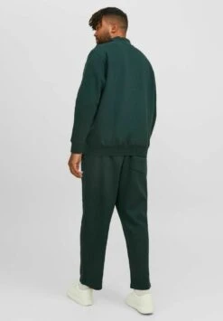 Jack & Jones Jorvesterbro Quarter Zip Hn Pls - Sweater - Magical Forest -Jack & Jones Verkoopwinkel 190559e996fa4883a90c71d92d9c061a