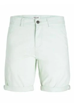 Jack & Jones Klassische - Shorts - Glacier