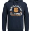 Jack & Jones Jjelogo Noos- Hoodie - Sky Captain