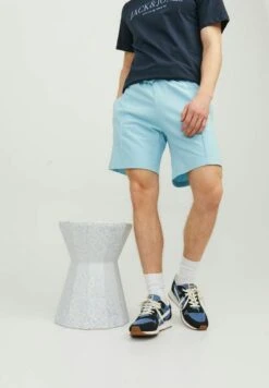 Jack & Jones Shorts - Sky Blue -Jack & Jones Verkoopwinkel 612349b19e2a4bdf8876c998981cdbba