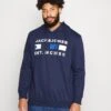 Jack & Jones Jcofreddie Hood - Sweater - Navy Blazer