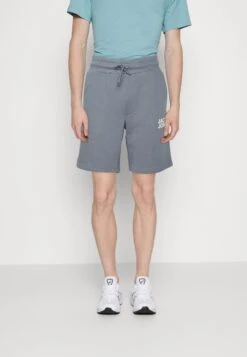 Jack & Jones Jpstnewsoft - Shorts - Flint Stone