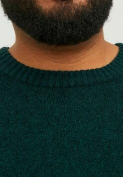 Jack & Jones Crew Neck - Trui - Magical Forest 10 Jack & Jones Crew Neck - Trui - Magical Forest -Jack & Jones Verkoopwinkel 9baa1a7f78e24ea6a79b36abfad55bb6