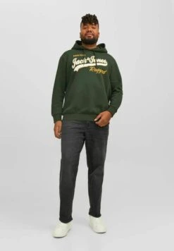 Jack & Jones Logo - Hoodie - Mountain View -Jack & Jones Verkoopwinkel d3aba86db3794b20af314d0153de103d