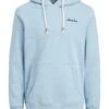 Jack & Jones Jorpaul Tons Noos - Hoodie - Hellblau